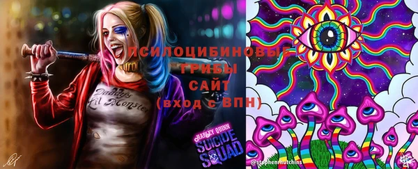 apvp Заводоуковск