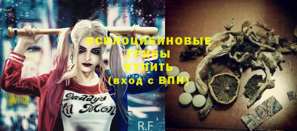 apvp Заводоуковск