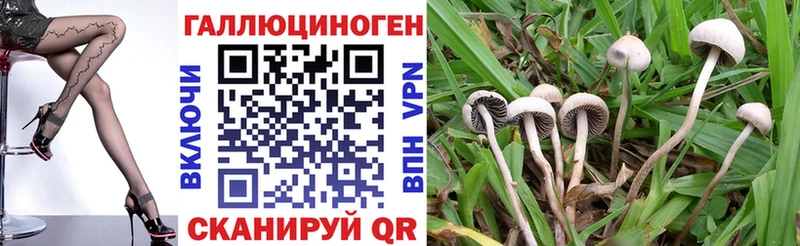 Псилоцибиновые грибы Psilocybine cubensis  что такое   Снежинск 