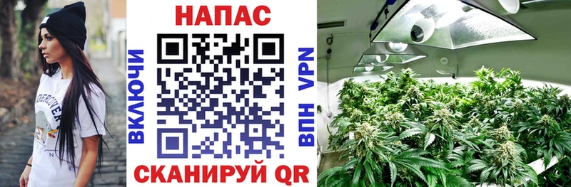 Бошки марихуана конопля  Снежинск 
